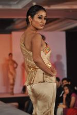 at WLC Chimera fashion show in Leela Hotel on 8th Sept 2011 (368).JPG
